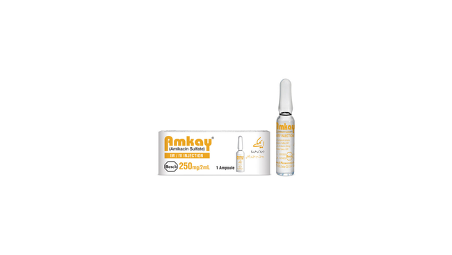 Amkay Im/Iv Injection 250mg/2ml (1 Box = 1 Injection) Hover Image