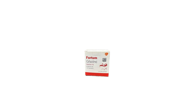 Fortum Im/Iv Injection 1g (1 Box = 1 Injection) Hover Image