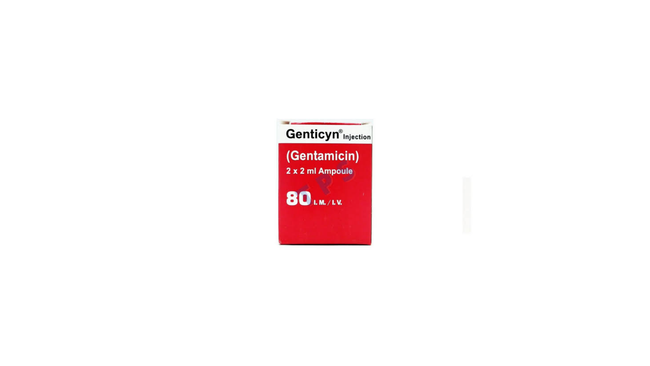 Genticyn Im/Iv Injection 80mg (1 Box = 2 Ampoules) Hover Image