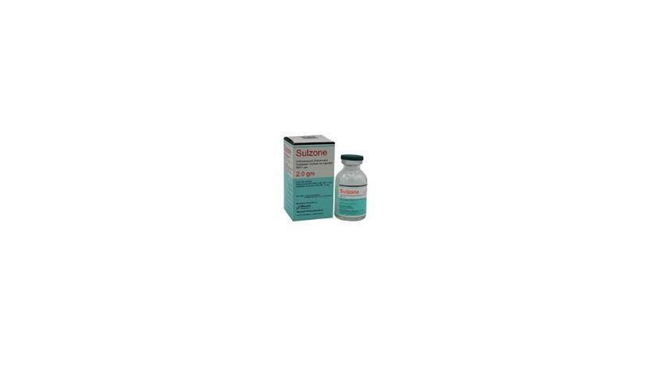 Sulzone Injection 2g (1 Box = 1 Injection) Hover Image